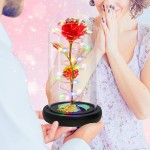 Rosy Φωτιζόμενο Κρυσταλιζέ Τριαντάφυλλο σε Γυάλα με Πολύχρωμα LED 20x11cm