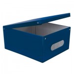 Κουτί Αποθήκευσης με Επένδυση PVC 50x42x31cm 5361