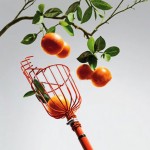 Μεταλλικός Συλλέκτης Φρούτων & Καρπών κατάλληλος & για Ψηλά Δέντρα