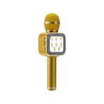 Ασύρματο Bluetooth Mικρόφωνο KARAOKE & Hi-Fi Hχείο WSTER WS-1818 Χρυσό