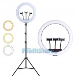 Φωτογραφικό Δαχτυλίδι 3 x Βάσεων Κινητού & Κάμερας - USB Φωτιστικό Ring Lamp Light LED 32cm με 3 Χρώματα Φωτισμού, Dimmer & Τρίποδο