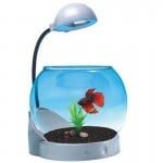 Διακοσμητική Γυάλα Ψαριών - Mini Ενυδρείο με Φωτισμό 2 LED - Jeneca 2L Ασημί