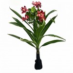 Τεχνητό Διακοσμητικό Φυτό Ορχιδέα Cymbidium 100cm με Άνθη & Πράσινο Φύλλωμα - Διακόσμηση Χώρου χωρίς Συντήρηση για Σαλόνι & Γραφείο