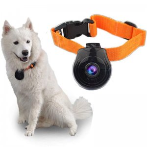 Κάμερα Κατοικίδιων με Κολάρο με Οθόνη LCD - Pet Camera Παρακολούθησης