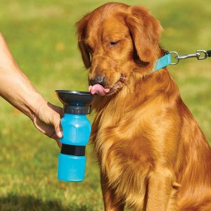 Φορητό Μπουκάλι Νερού με Μπολ για Σκύλους 500ml