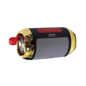 Ασύρματο Ηχείο Bluetooth Wster WS-100 Χρυσό Μαύρο