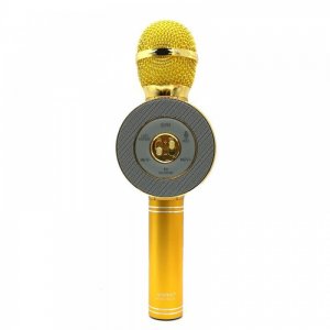 Ασύρματο Bluetooth Mικρόφωνο KARAOKE Hχείο Mp3 Player WSTER - Disco Light Microphone GOLD