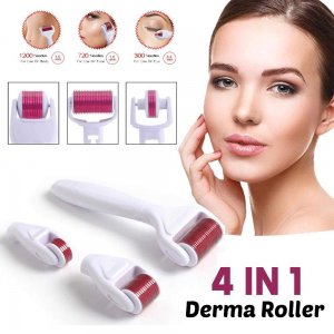 Συσκευή Μασάζ Προσώπου 4 σε 1 - Needle Roller Σύστημα με Μικροακίδες