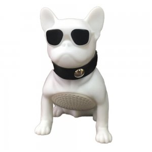 Επαναφορτιζόμενο Ηχείο Bluetooth AEROBULL Mini Λευκό- CH-M12