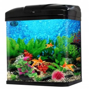 Ενυδρείο 20L με LED Φωτισμό - Αντλία Νερού 10W 800L,H &amp; Φίλτρο