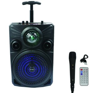 Φορητό Ασύρματο Ηχείο 8 Bluetooth FM, USB, TF, AUX 20W TWS με Αντικραδασμική Προστασία, Λαβή Μεταφοράς, Κάρτα Μνήμης 32GB και RGB Φωτισμό Μαύρο