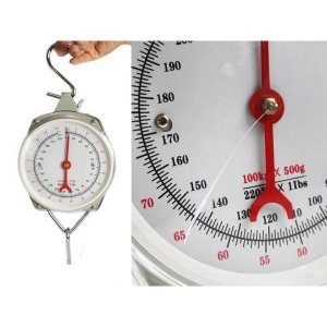 Κρεμαστή Ζυγαριά Χειρός 100kg,500gr