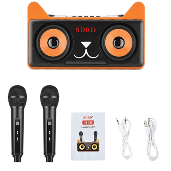 Σύστημα Karaoke με ασύρματα μικρόφωνα και SD, USB, AUX, TF μαύρο