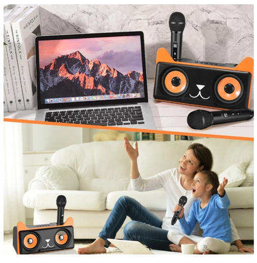 Σύστημα Karaoke με ασύρματα μικρόφωνα και SD, USB, AUX, TF μαύρο