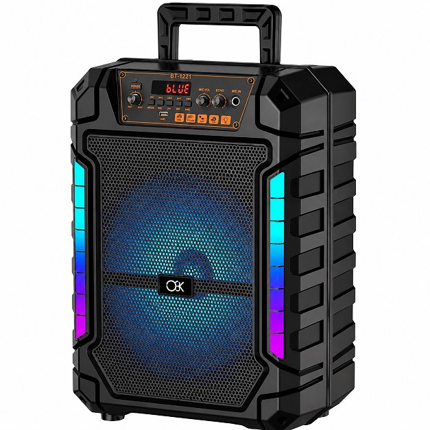 Ηχείο Karaoke Bluetooth – 20W, 12