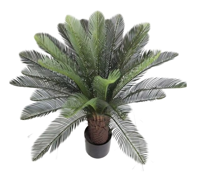 Τεχνητό Φυτό Φοίνικας Cycas 95cm Σε Γλάστρα - Φυσική Όψη Χωρίς φροντίδα - Ιδανικό Για Διακόσμηση, Βιτρίνες & Event Τεχνητό Φυτό Φοίνικας Cycas 95cm Σε Γλάστρα - Φυσική Όψη Χωρίς φροντίδα - Ιδανικό Για Διακόσμηση, Βιτρίνες & Event