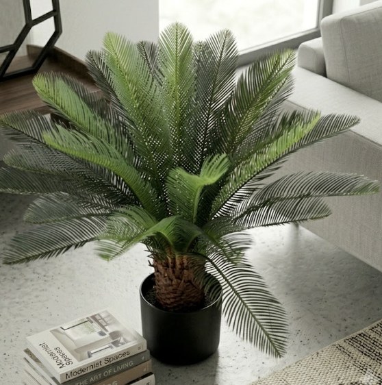 Τεχνητό Φυτό Φοίνικας Cycas 95cm Σε Γλάστρα - Φυσική Όψη Χωρίς φροντίδα - Ιδανικό Για Διακόσμηση, Βιτρίνες & Event Τεχνητό Φυτό Φοίνικας Cycas 95cm Σε Γλάστρα - Φυσική Όψη Χωρίς φροντίδα - Ιδανικό Για Διακόσμηση, Βιτρίνες & Event