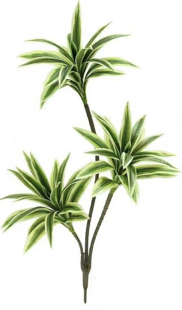 Διακοσμητικό Τεχνητό Φυτό Dracaena Πράσινο - Φυσική Εμφάνιση Χωρίς Συντήρηση