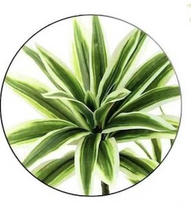 Διακοσμητικό Τεχνητό Φυτό Dracaena Πράσινο - Φυσική Εμφάνιση Χωρίς Συντήρηση