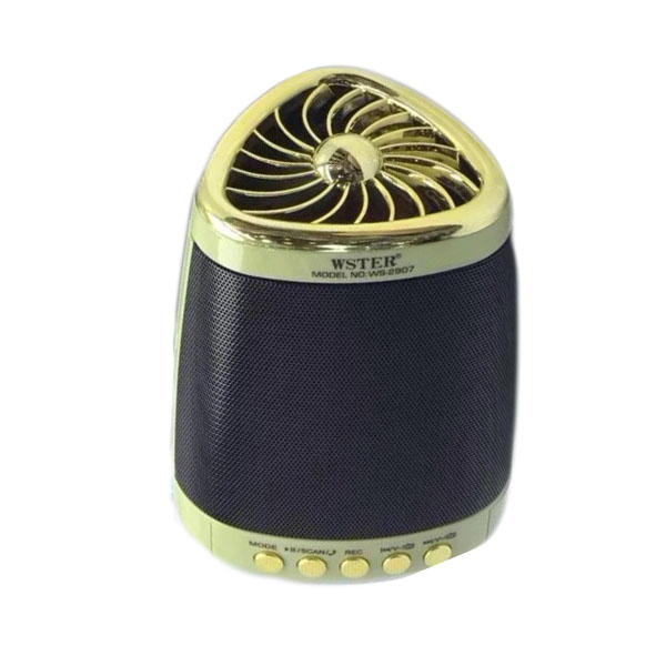 Ασύρματο Ηχείο Bluetooth Wster WS-2907 Χρυσό Ασύρματο Ηχείο Bluetooth Wster WS-2907 Χρυσό