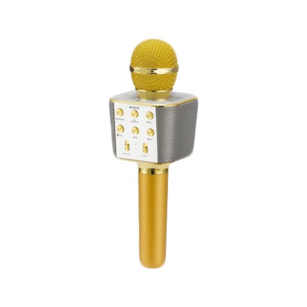 Ασύρματο Bluetooth Mικρόφωνο KARAOKE & Hi-Fi Hχείο WSTER WS-1688 Χρυσό Ασύρματο Bluetooth Mικρόφωνο KARAOKE & Hi-Fi Hχείο WSTER WS-1688 Χρυσό
