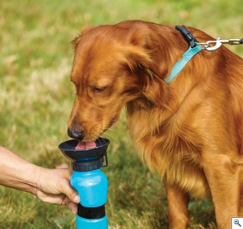 Μπουκάλι Νερού για Κατοικίδια 500ml