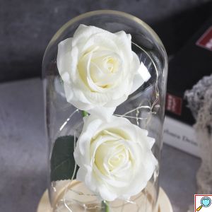 Forever Rose 2 Παντοτινά Τριαντάφυλλα σε Γυάλινο Βάζο με Θερμό LED Φωτισμό 19x11cm - Λευκά