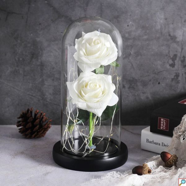 Forever Rose 2 Παντοτινά Τριαντάφυλλα σε Γυάλινο Βάζο με Θερμό LED Φωτισμό 19x11cm - Λευκά