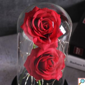 Forever Rose 2 Παντοτινά Τριαντάφυλλα σε Γυάλινο Βάζο με Θερμό LED Φωτισμό 19x11cm - Κόκκινα