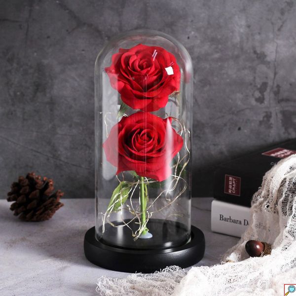 Forever Rose 2 Παντοτινά Τριαντάφυλλα σε Γυάλινο Βάζο με Θερμό LED Φωτισμό 19x11cm - Κόκκινα