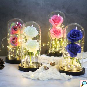 Forever Rose 2 Παντοτινά Τριαντάφυλλα σε Γυάλινο Βάζο με Θερμό LED Φωτισμό 19x11cm - Ροζ