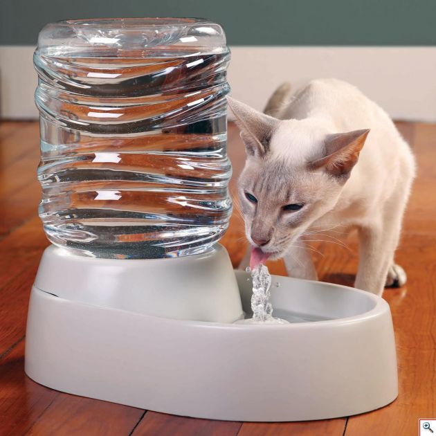 Η αυτόματη ποτίστρα-συντριβάνι Pet Water Fountain είναι μια ποτίστρα πρώτης κατηγορίας: μέσω ενός μικρού συντριβανιού, το φρέσκο φιλτραρισμένο νερό ρέει μέσα στο δοχείο - αθόρυβα και χωρίς πιτσίλισμα. Λόγω της συνεχούς ροής του νερού, το νερό είναι πλούσιο σε οξυγόνο και δροσερό!
