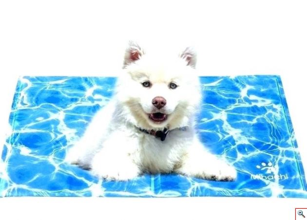 Στρώμα Δροσιάς για Κατοικίδια Ζώα 50x65cm - Pet Cooling Mat