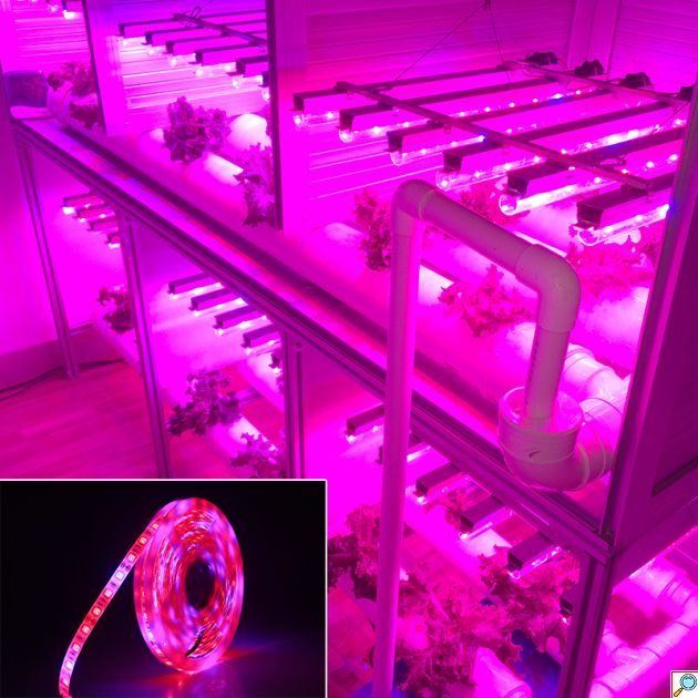 Αδιάβροχη Αυτοκόλλητη Ταινία LED 3m USB Θερμοκηπίου - Ανάπτυξης & Καλλιέργειας Φυτών Full Spectrum - Φωτιστικό Θερμοκηπίου Εσωτερικού Χώρου - Plant Grow Light Strip