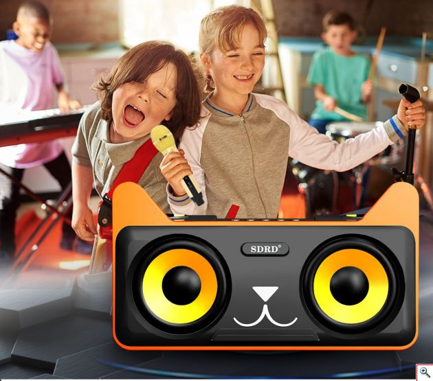 Φορητό Οικογενειακό Σύστημα Karaoke με Διπλά Ασύρματα Μικρόφωνα, Ασύρματο Συμπυκνωτή Bluetooth & Σετ Ηχείων