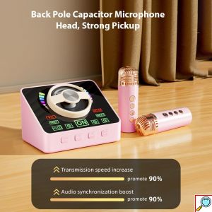 Ασύρματο Ηχείο Bluetooth Karaoke με 2 Μικρόφωνα, USB & TF Card