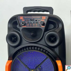 Ασύρματο Ηχείο Bluetooth Karaoke με Ενσύρματο Μικρόφωνο και Φωτισμό LED