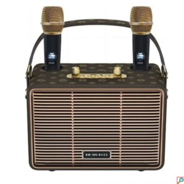 Ασύρματο Ηχείο Karaoke Bluetooth με 2 Μικρόφωνα