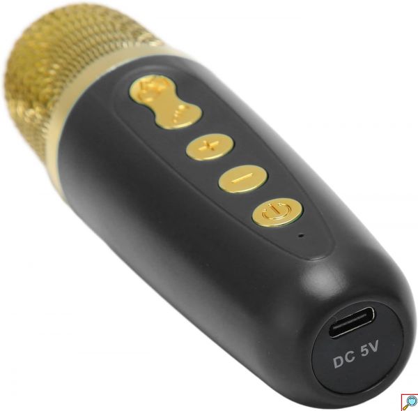 Φορητό Ηχείο Ηχοσύστημα Bluetooth Καραόκε με Ασύρματο Μικρόφωνο Bluetooth Λειτουργία Εγγραφής Ήχου Μαύρο
