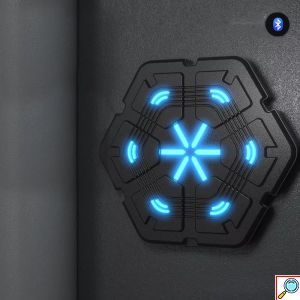 Επιτοίχια Συσκευή Προπόνησης Πυγμαχίας με Bluetooth και Μουσική