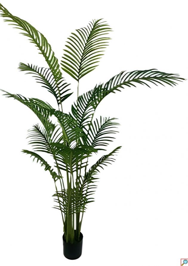 Τεχνητός Φοίνικας Areca 200cm – Διακοσμητικό Φυτό με 15 Κλαδιά - Ρεαλιστική Όψη, Μηδενική Συντήρηση, Ιδανικό για Σπίτι & Γραφείο
