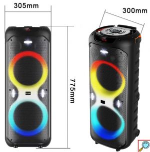 Φορητό Ηχείο Καραόκε με 2 Μικρόφωνα, Bluetooth, FM και Φωτισμό LED RGB - SuperBass
