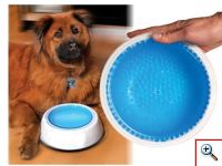 Μπολ για Δροσερό Νερό FrostyBowl για το Κατοικίδιό σας