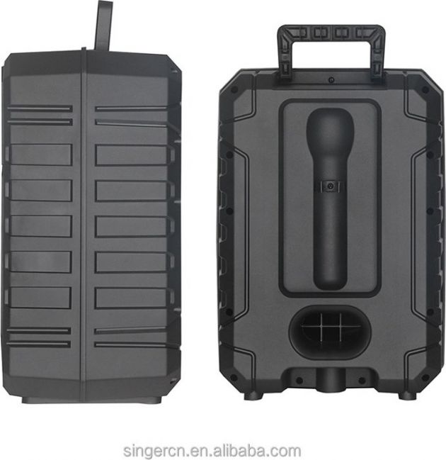 Ηχείο Karaoke Bluetooth – 20W, 12
