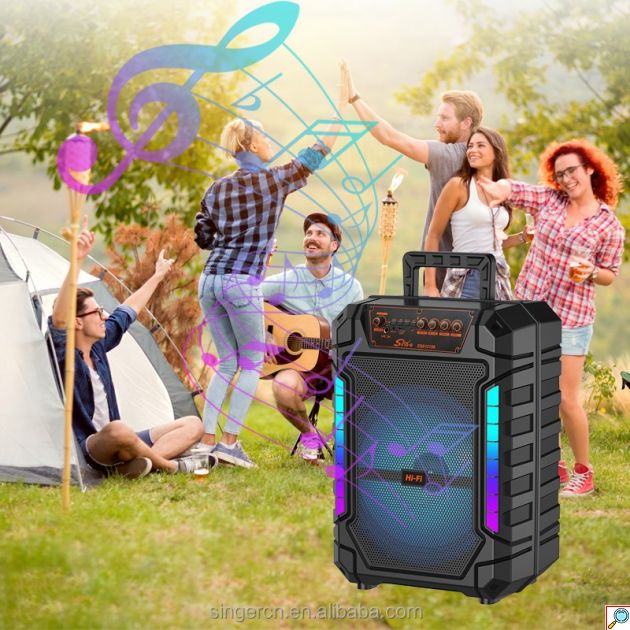 Ηχείο Karaoke Bluetooth – 20W, 12