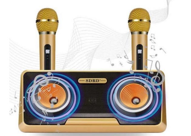 Φορητό Καραόκε Ηχείο Bluetooth με 2 Ασύρματα Μικρόφωνα & Φωτισμό LED - Ηχοσύστημα Μπαταρίας