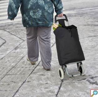 Αναδιπλούμενο Καρότσι Λαϊκής με Σκελετό Αλουμινίου και Αδιάβροχη Επένδυση 42x35x100 cm σε Διάφορα Χρώματα