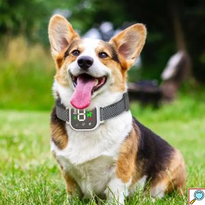 Αυτόματο Κολάρο Εκπαίδευσης Σκύλου Anti Bark Αδιάβροχο IP67 Επαναφορτιζόμενο
