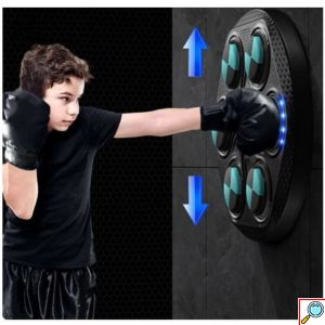 LED Μουσικό Επιτοίχιο Ταμπλό Εκγύμνασης με Bluetooth - Σετ με Γάντια Προπόνησης 