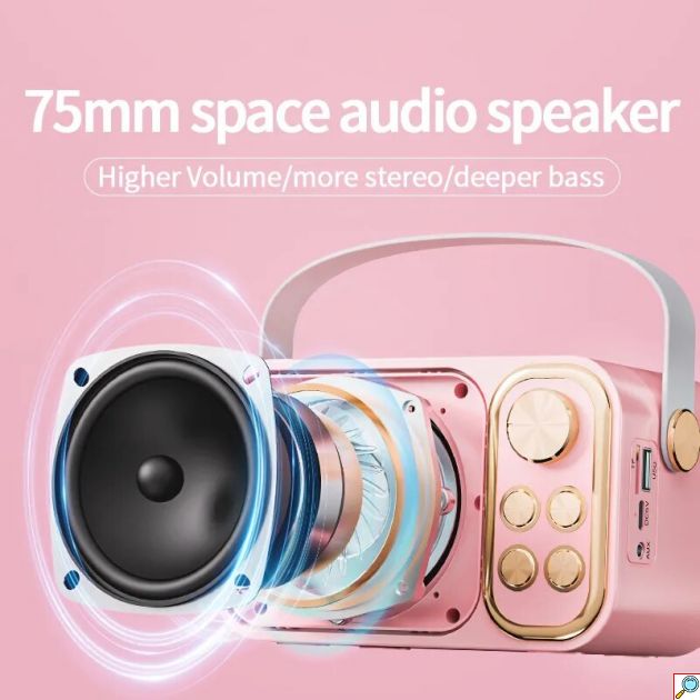 Mini Σύστημα Καραόκε με Ασύρματο Μικρόφωνο Bluetooth, USB, AUX, Type C & TF Card